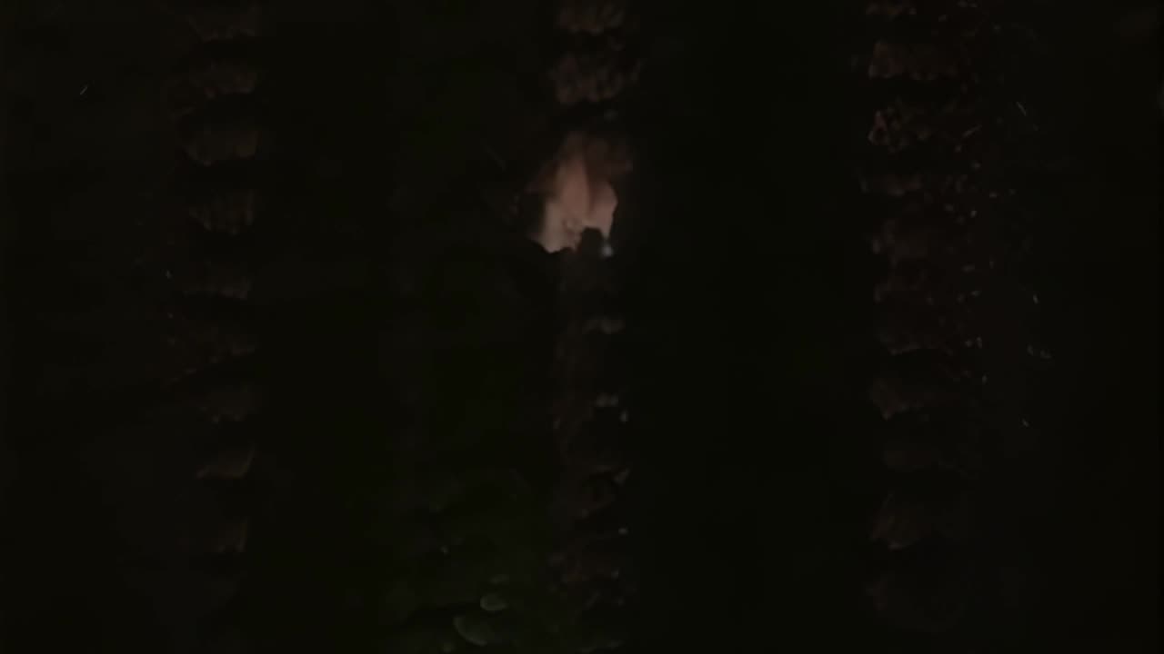 WAV - Launch Glitchez