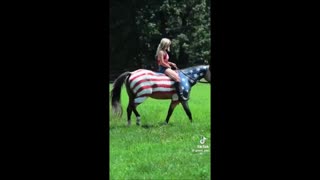 7625 Terry Reports - Political Video U Must SEE! SOUND TEST