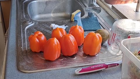 Bell Pepper Inspector