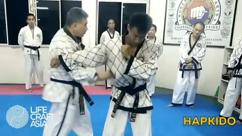 Hapkido