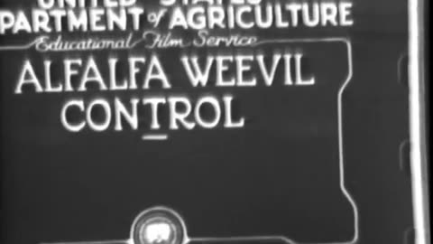 ALFALFA WEEVIL CONTROL - ALFALFA WEEVIL CONTROL - 33-278