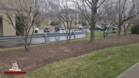 Tesla Hating Protesters Leave Early