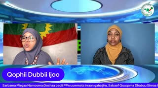 Qophii Dubbii Ijoo ONM-ABO Hagayya 27-2025 itti dhiyaadhaa!