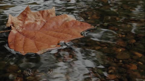 The Only Things That Really Matter