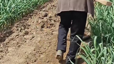 Fun video
