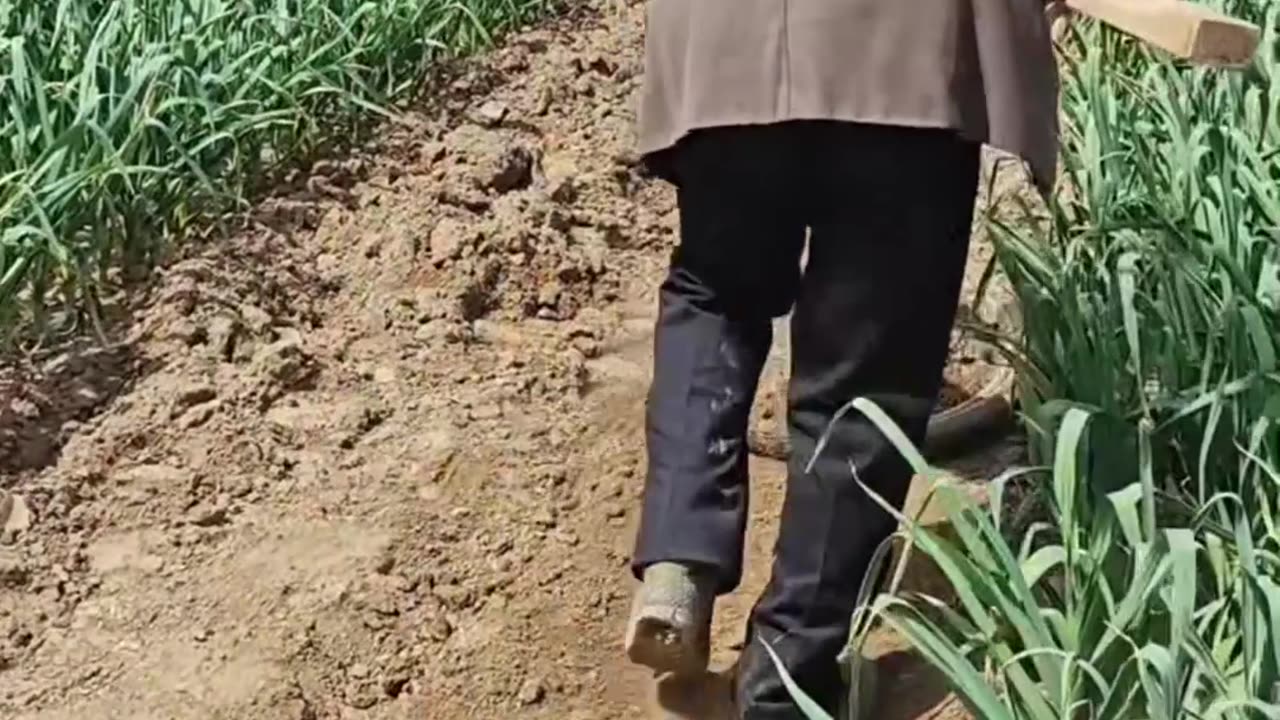 Fun video