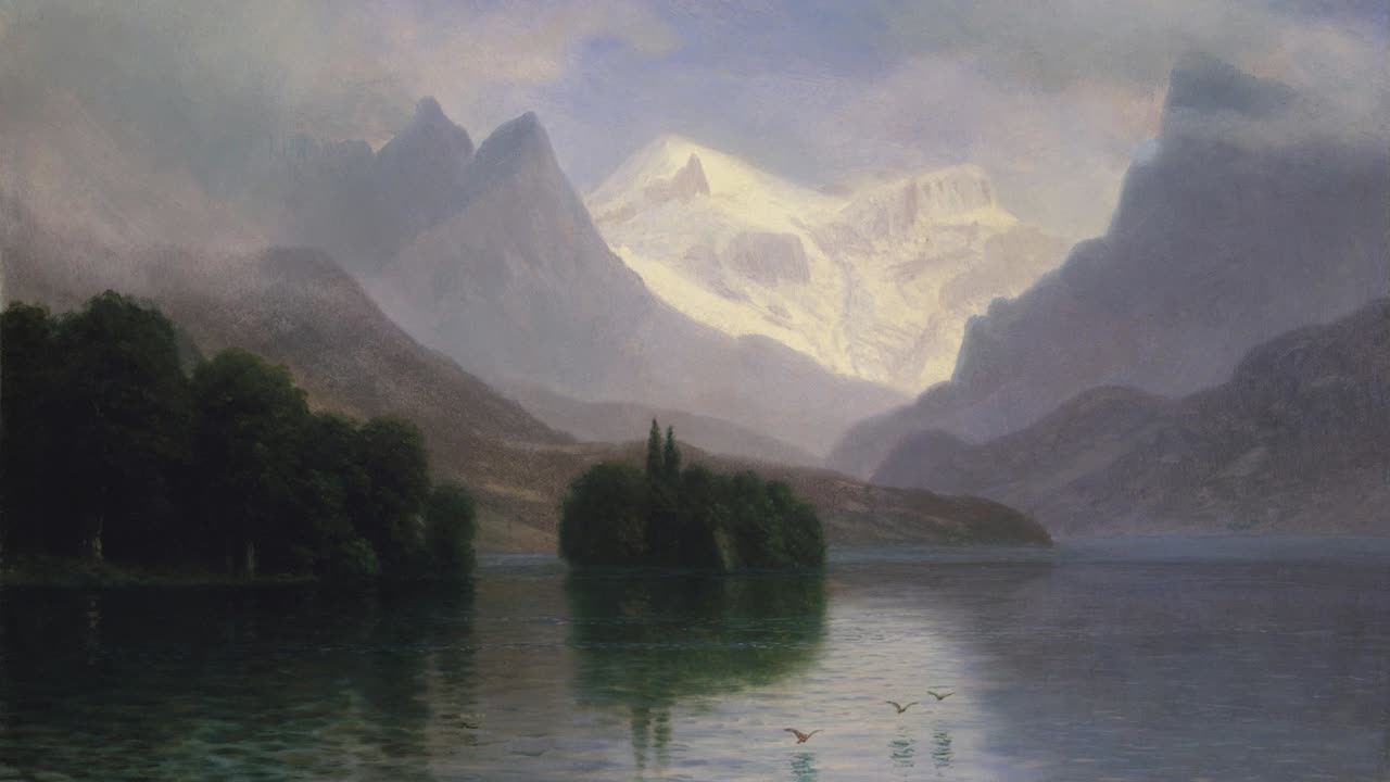 Tolerance 🪟 Herbal/Plant Frequency 🌳 417hz 💫 Mussorgsky 🎶