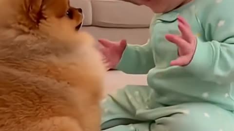 Baby 👶 and Dog 🐕cute moment