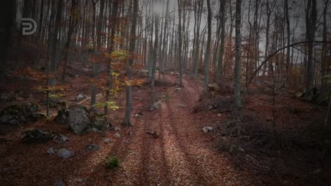 How to Know God's Will for Your Life | Derek Prince