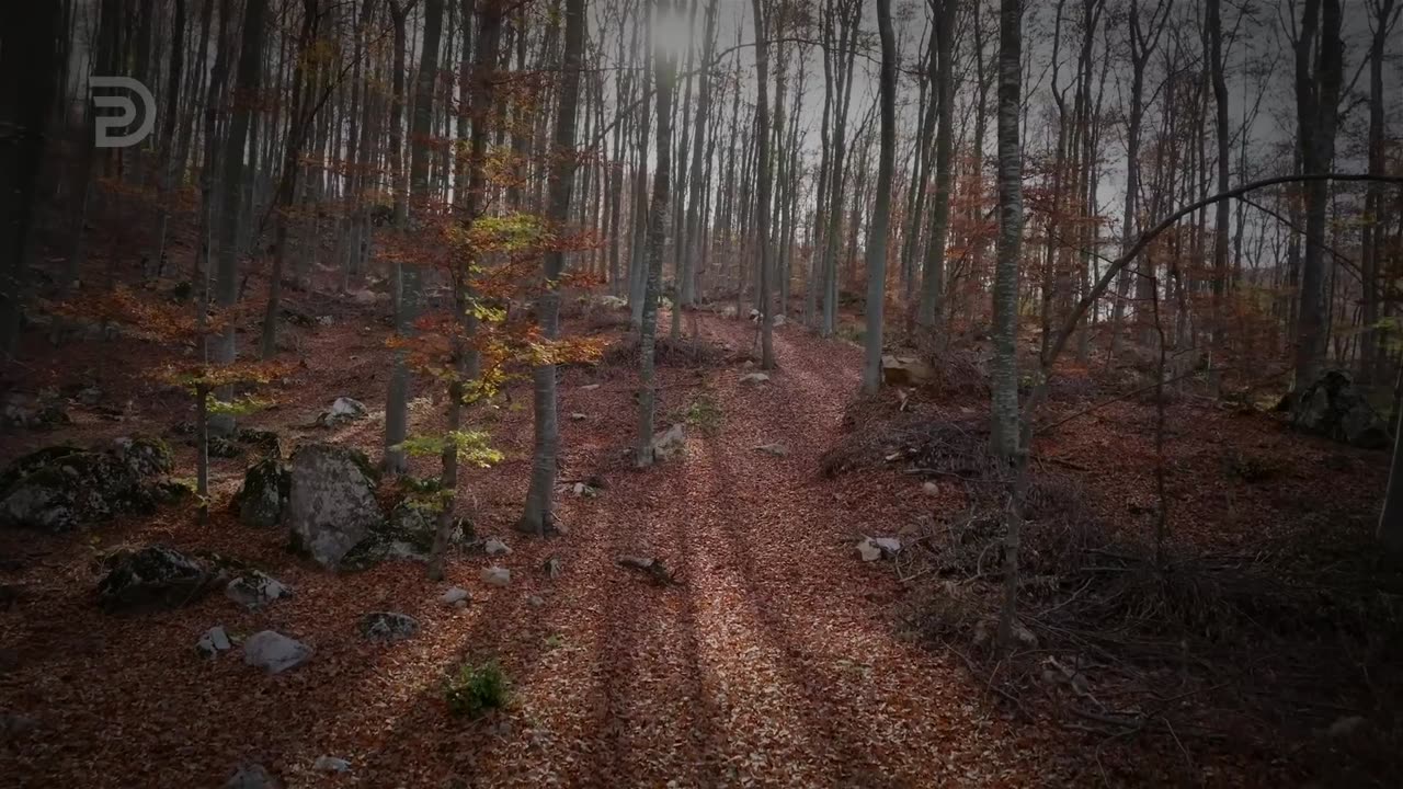 How to Know God's Will for Your Life | Derek Prince