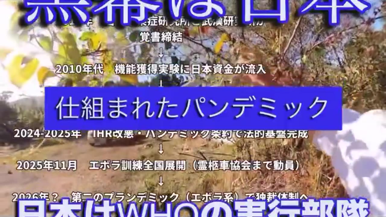 「日本はWHOの実行部隊