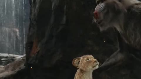 Mufasa 😍❤️ (Part - 5).....#reels #viralreels #reel #mufasa #animation #lastest #romantic #viralreel