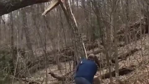 Best compilation of funny videos