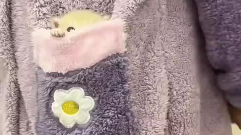 Funny animal videos