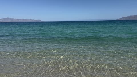 Managing Cholesterol and Triglycerides for Health