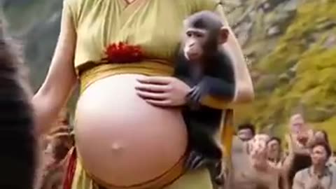 funny animals