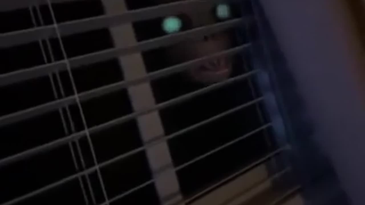 😱😲 This Scared the Shit Out of Me! | TheHauntingHour