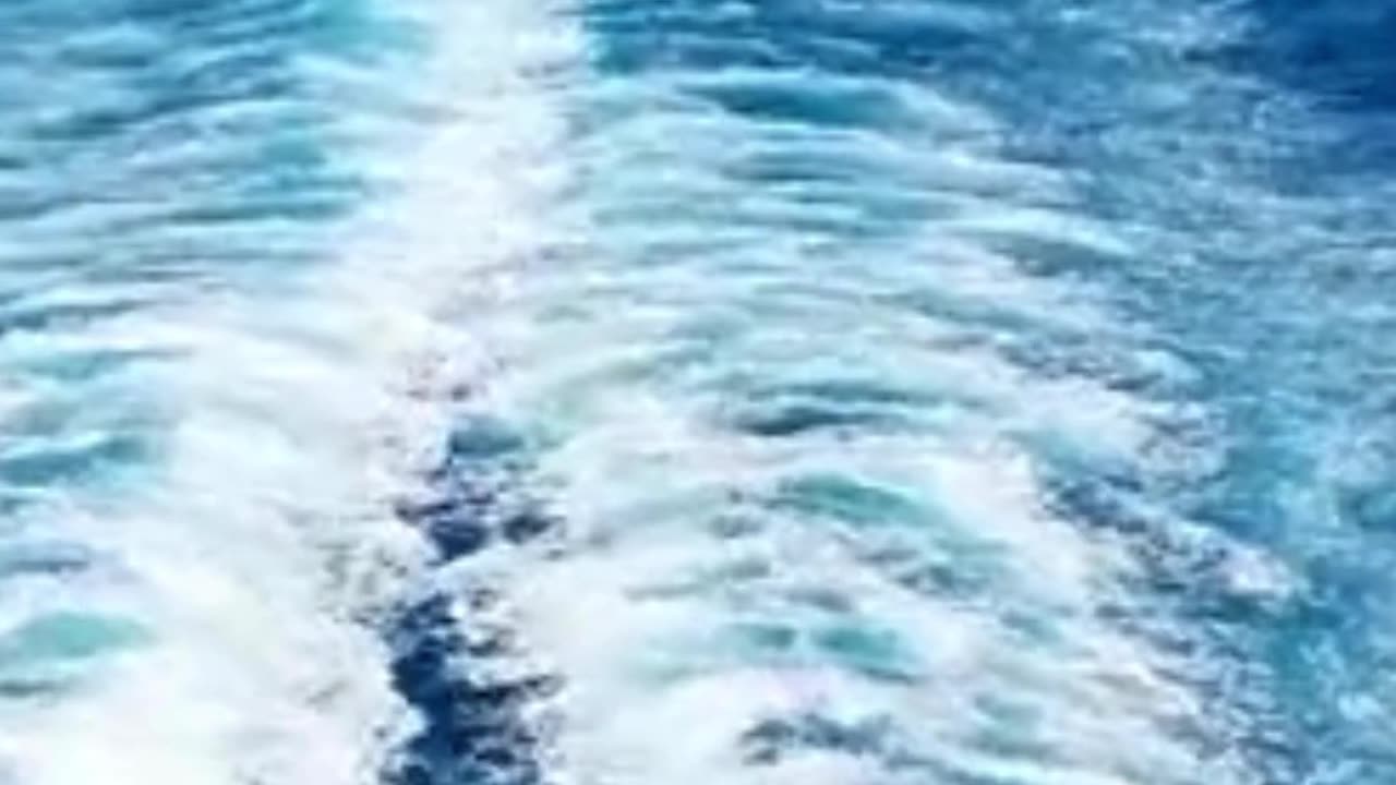 TWOSEE