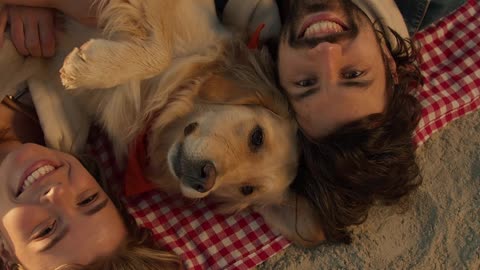 ¿Tienes un perro? Tu cuerpo te lo está agradeciendo