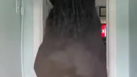 tiktok dance challenge