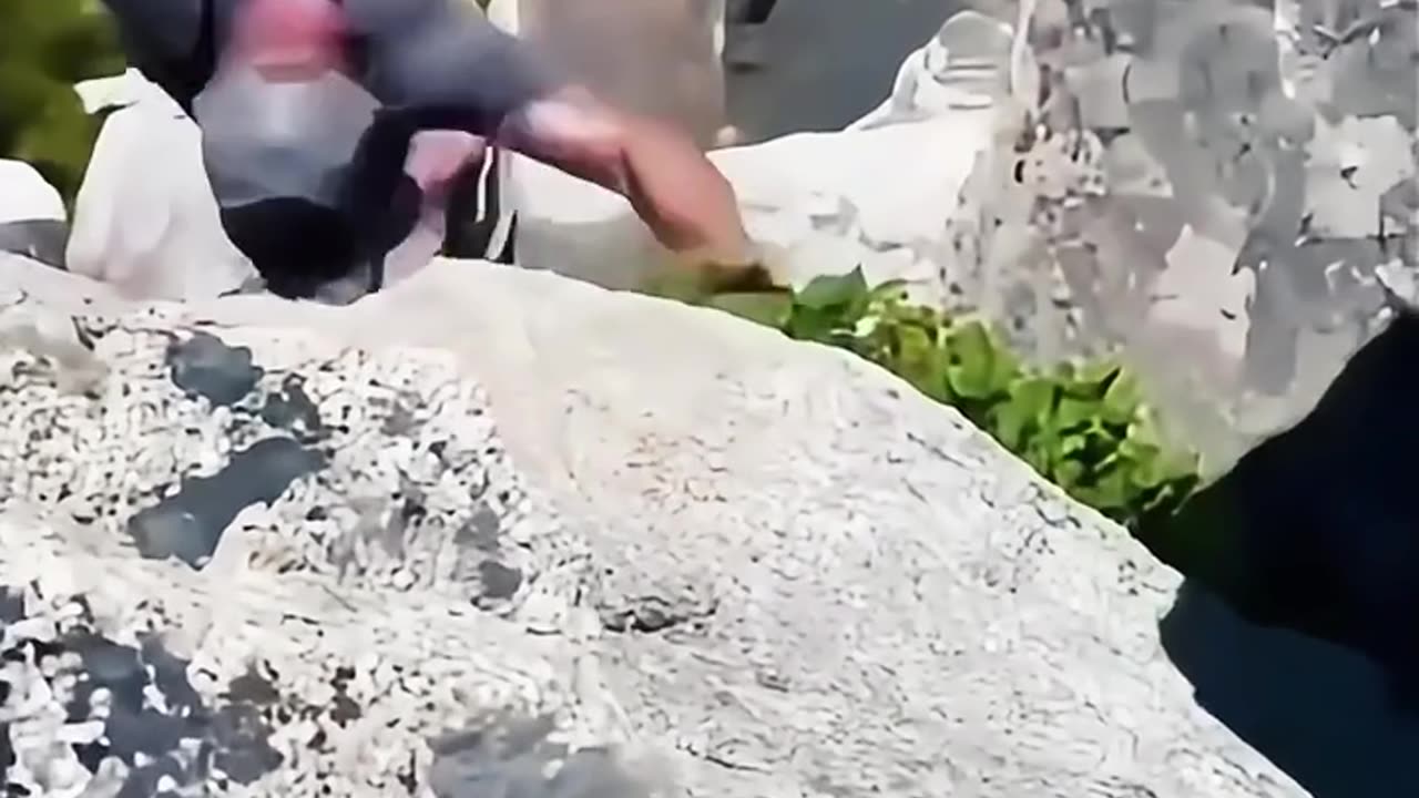 Fail Video Compilation