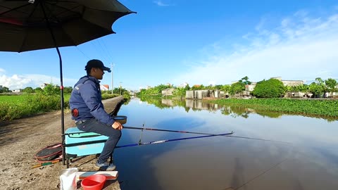 Salmon Saga From Ocean to River