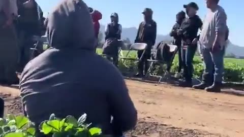 ICE showed up to the job site in Camarillo, CA