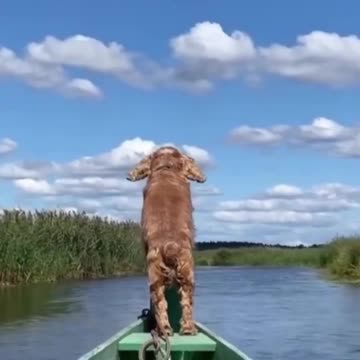 He’s the captain of the ship.. 😂