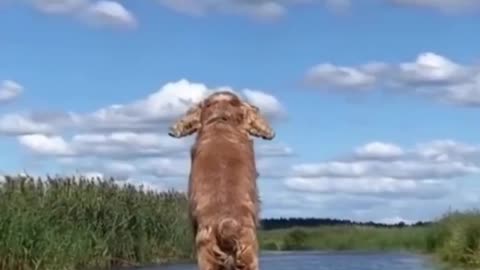 He’s the captain of the ship.. 😂