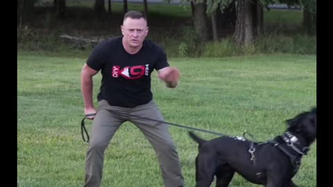 How to Stop a Dog Attack in under Three Seconds
