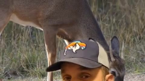 Spike bucks