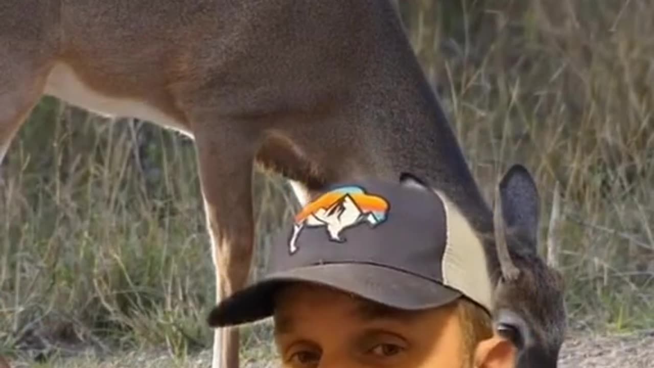Spike bucks