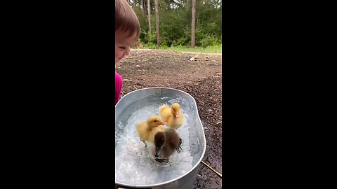 Entertainment, games, children's games