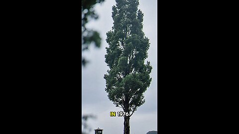 Historical Troll Wars: Nations Behaving Badly (and Hilariously)