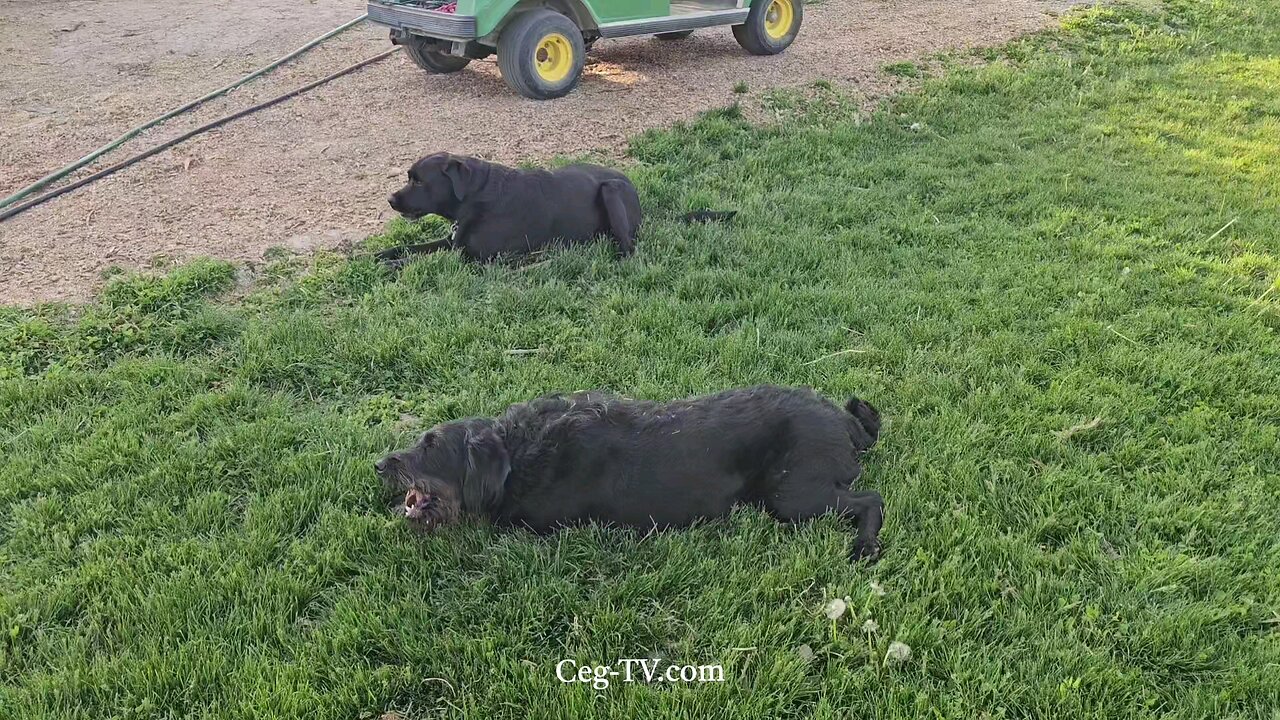 Graham Family Farm: 7:00 PM April 30 2025