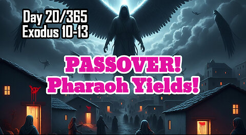 Day 20/365 - Israelites Finally FREE | Pharaoh Loses