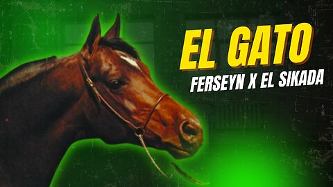 El Gato (Ferseyn x El Sikada) AHR #9075 1954 Bay Arabian Stallion presented by Crabbet.com #animals