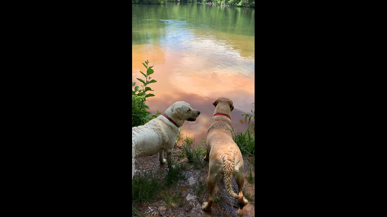 Beautiful hike!