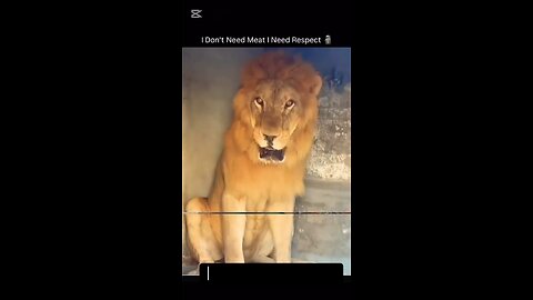 Animals also want respect