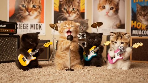 Cat Rock 'n' Roll