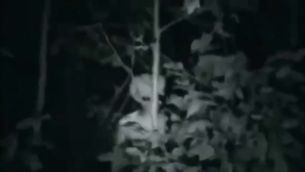 THE PARANORMAL MIX PT5 by TPQ