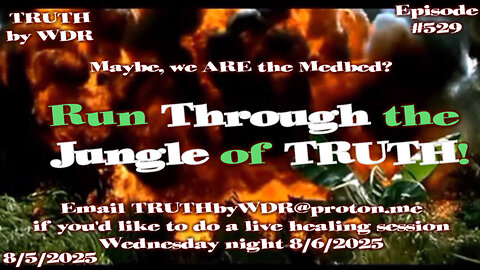 Run through the Jungle of Truth - TRUTH by WDR - Ep. 529 - Music Video Preview
