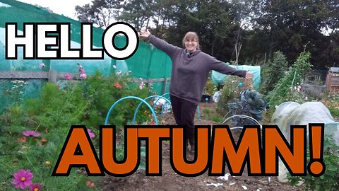 Welcoming Autumn in the Allotment: Clearing Out & Making Plans! 🍂🍁