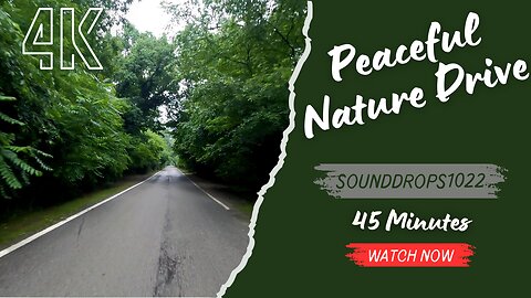 45 Minutes of Peaceful Nature Drive Ambience