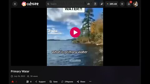 PRIMARY WATER