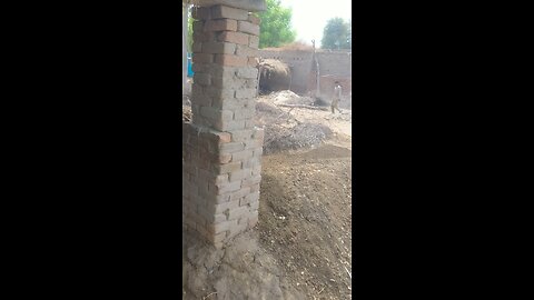 buffalo video