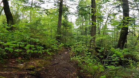Take a Hike