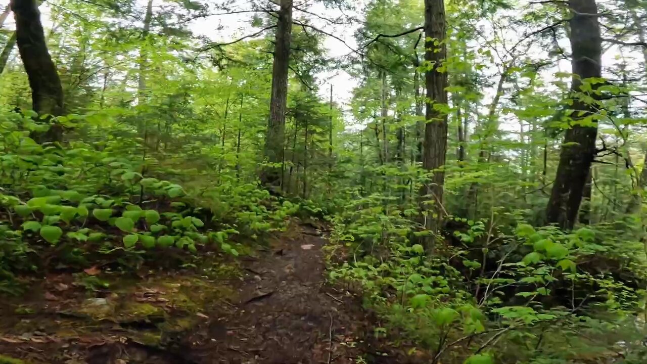 Take a Hike