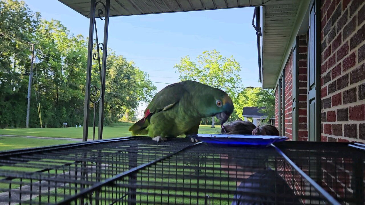 Rocco's modern morning