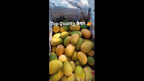 mango 🥭 lover & banana 🍌 lover